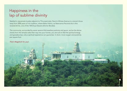 Navin's Hillview Avenue Brochure Image 3
