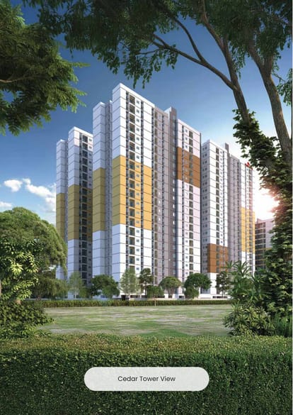 Navin's Cedar Brochure Image 3