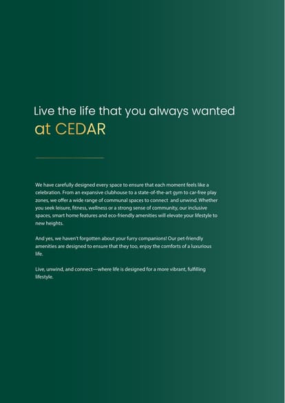 Navin's Cedar Brochure Image 16