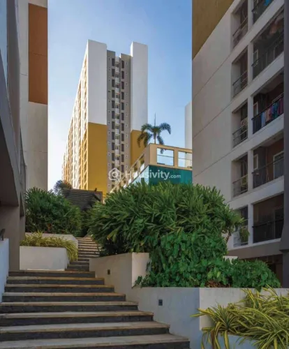 Navin's Cedar Image 4