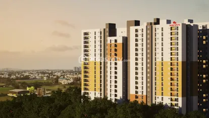 Navin's Cedar Image 1