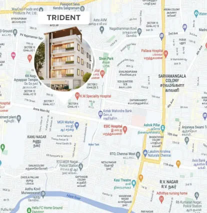 Salma Trident Image 5