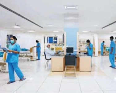 Salma The Mandarin Image 2