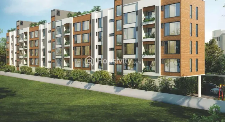 BBCL Veenus Regius Image 1