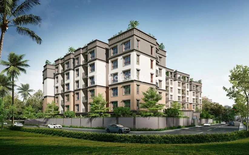 Tulive Grandezza Image 1