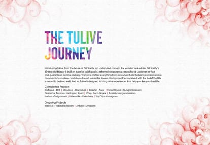Tulive Azpire Brochure Image 3