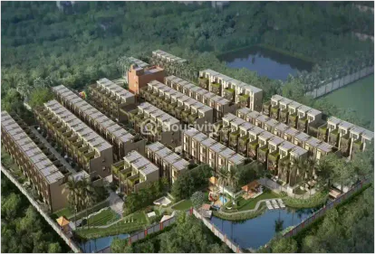 Eden Amantran Image 2