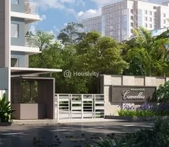 Mahaveer Camelia Image 3