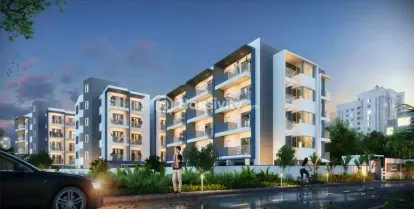 Mahaveer Camelia Image 2