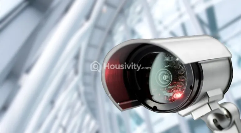 Aanirudh Ram Anjaneya Image 4