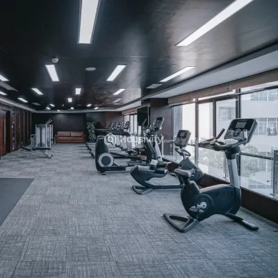 Urban Tree Excellence Image 4