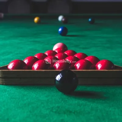 Urban Tree Excellence Image 7