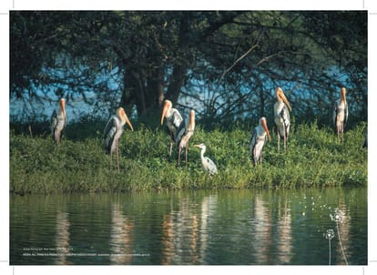 Godrej Lake Gardens Brochure Image 21