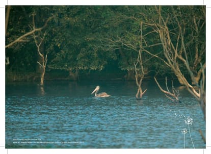 Godrej Lake Gardens Brochure Image 22