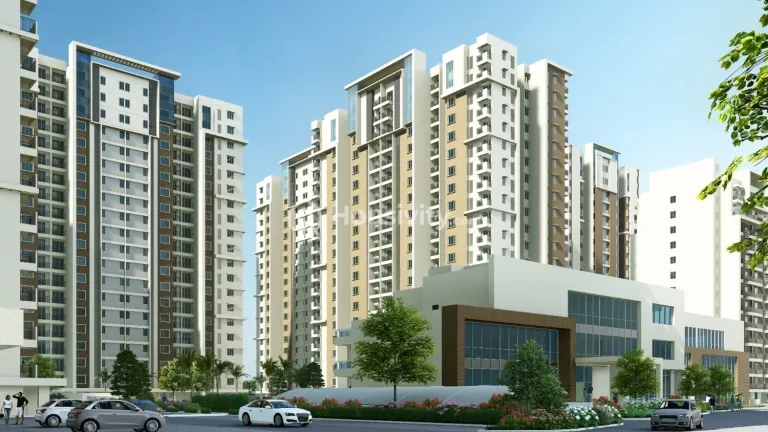Doshi Risington Image 3