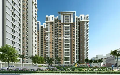 Doshi Risington Image 1