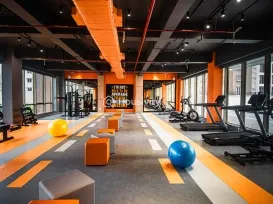 Doshi Risington Image 6