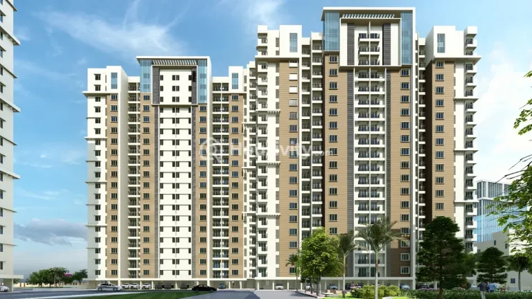 Doshi Risington Image 2