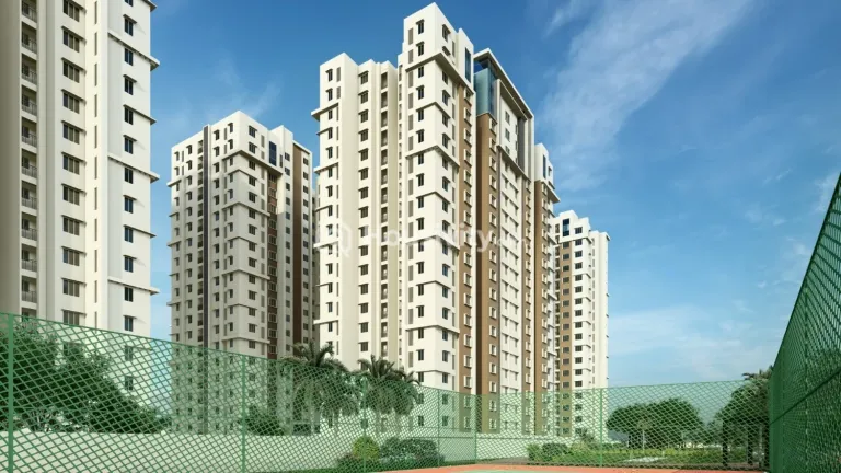Doshi Risington Image 4