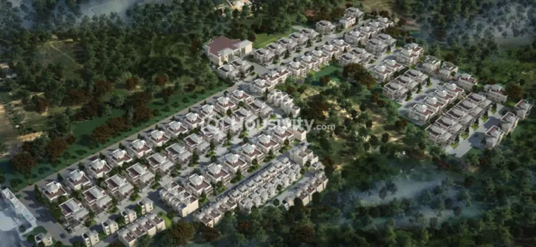 Prestige Silver Springs Image 8