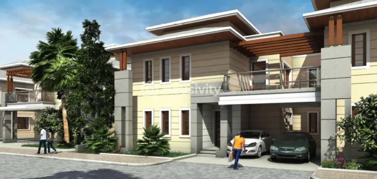 Prestige Silver Springs Image 7