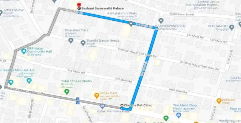 Eeshani Saraswathi Palace Image 4