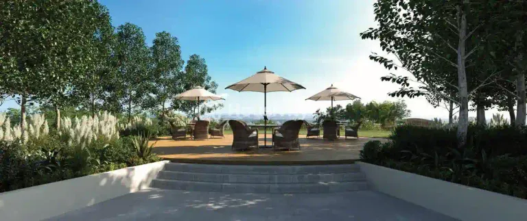 IRIS By Raghava Image 11