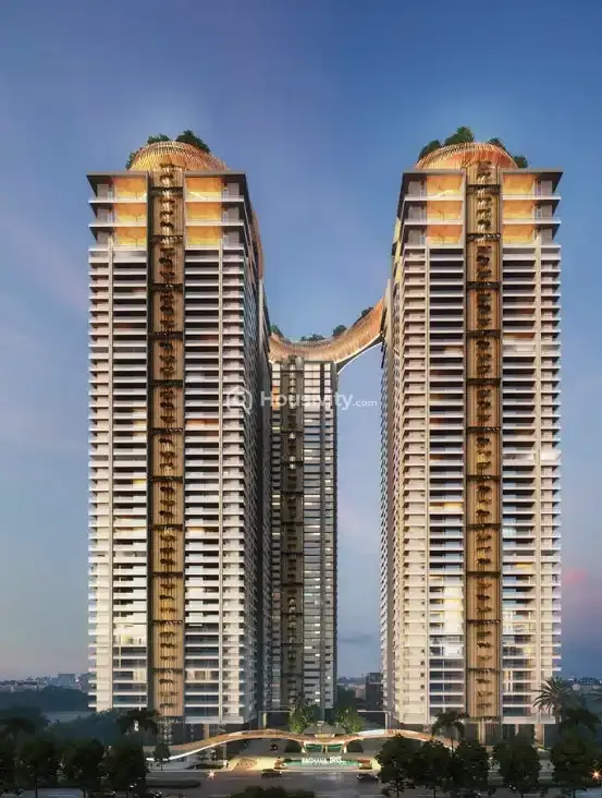 IRIS By Raghava Image 17