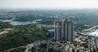 IRIS By Raghava Image 15