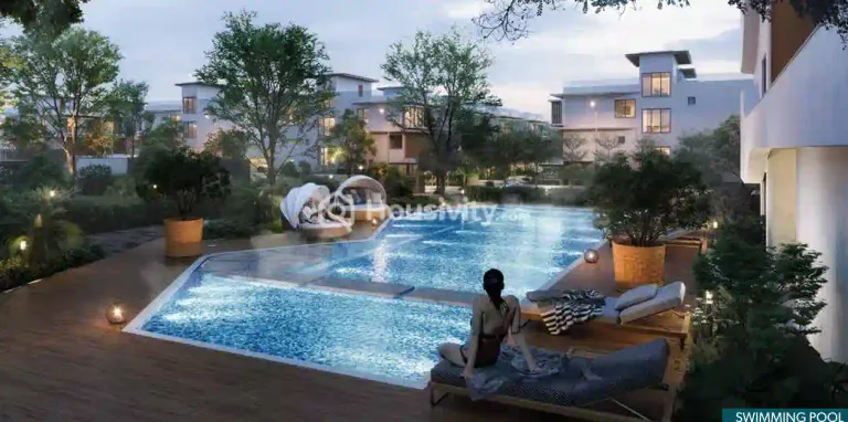 Sage by Raghava Image 7