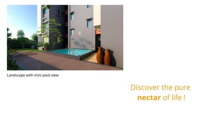 Sun Nectar Brochure Image 4