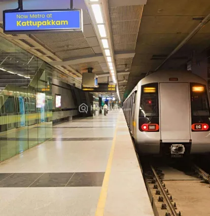 Steps Stone Vatsa Elite Image 2