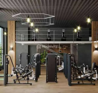 Ruby Horizon Image 4