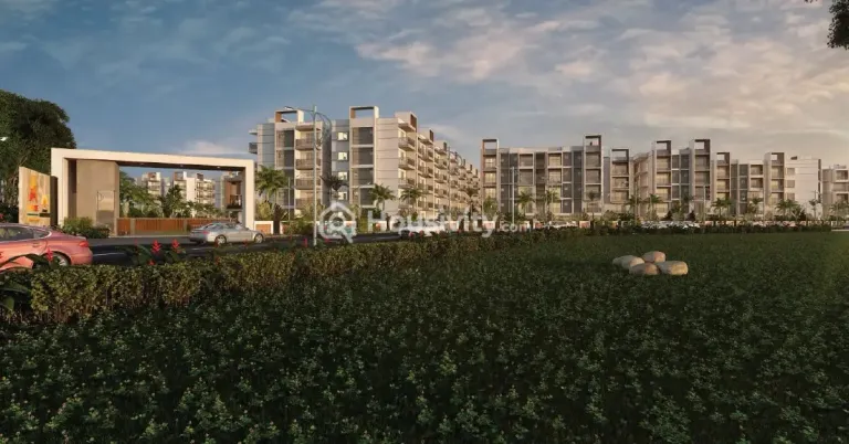 Abhee Silicon Shine Image 11