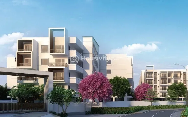 Abhee Silicon Shine Image 10