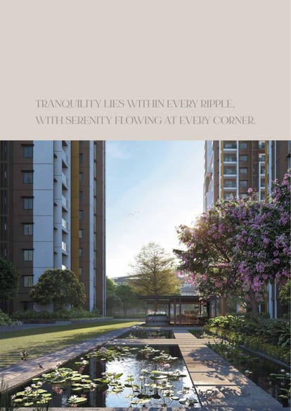 DSR The Address Brochure Image 18