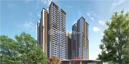 DSR The Address Image 6