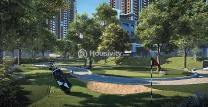 DSR The Address Image 16