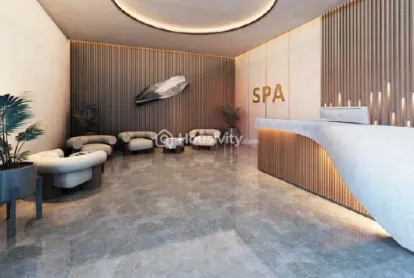 DSR The Address Image 22