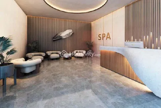 DSR The Address Image 22