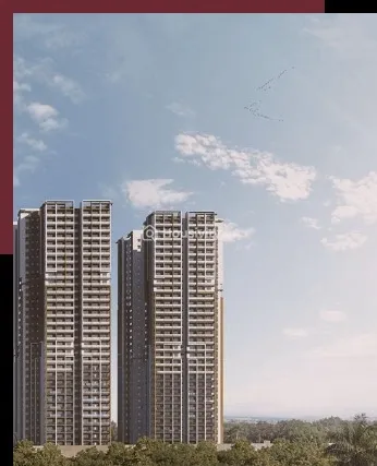 DSR The Address Image 9