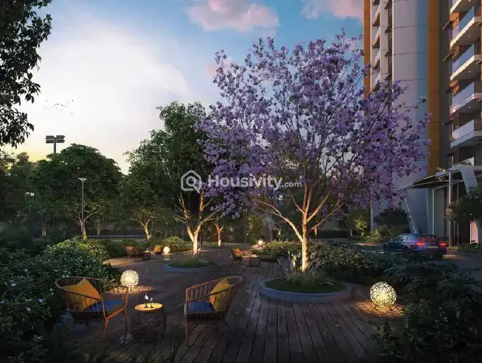 DSR The Address Image 11