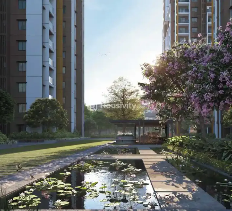 DSR The Address Image 20