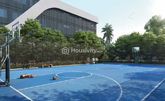 DSR The Address Image 15