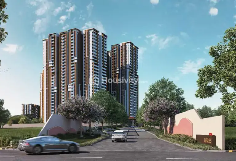 DSR The Address Image 2