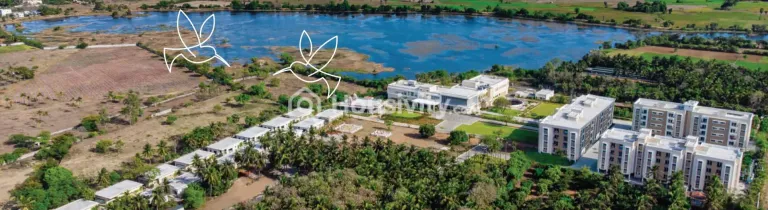 Arun Excello Ziva Image 6