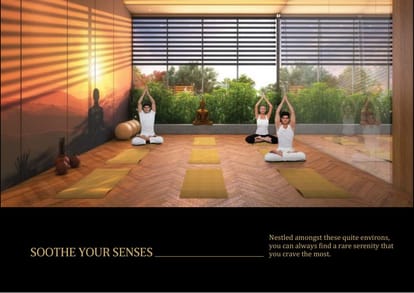 W by DSR Brochure Image 28