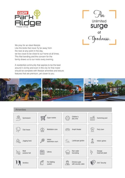 DSR Park Ridge Brochure Image 7