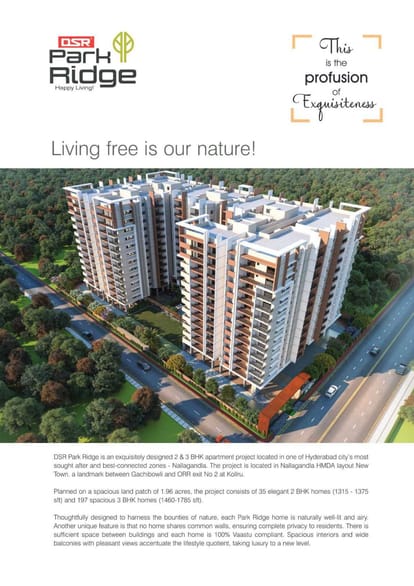 DSR Park Ridge Brochure Image 5