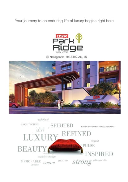 DSR Park Ridge Brochure Image 3
